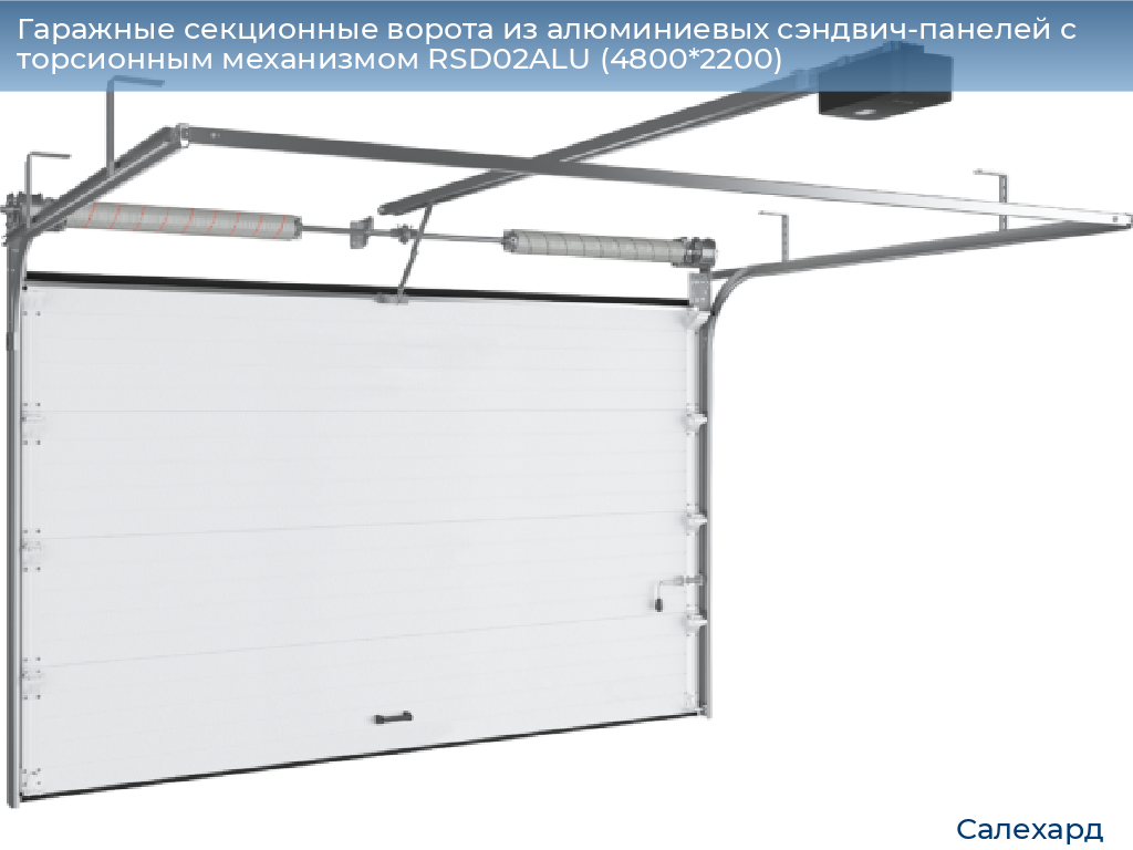 Гаражные секционные ворота из алюминиевых сэндвич-панелей с торсионным механизмом RSD02ALU (4800*2200), salekhard.doorhan.ru