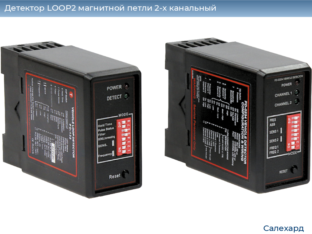 Детектор LOOP2 магнитной петли 2-x канальный, salekhard.doorhan.ru