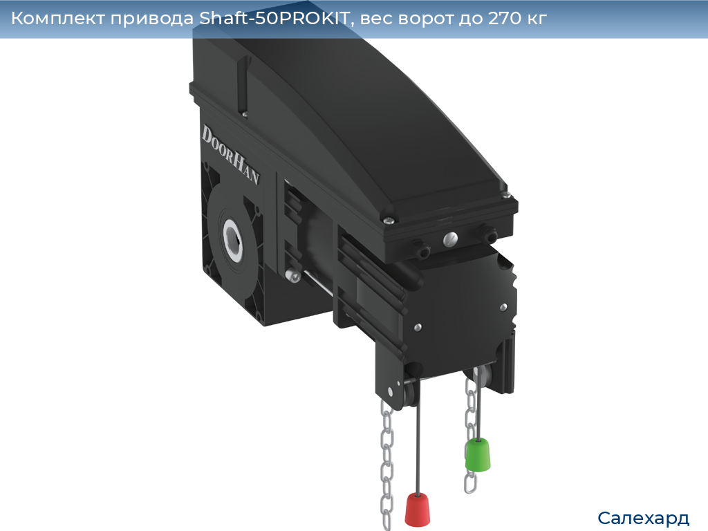 Комплект привода Shaft-50PROKIT, вес ворот до 270 кг, salekhard.doorhan.ru