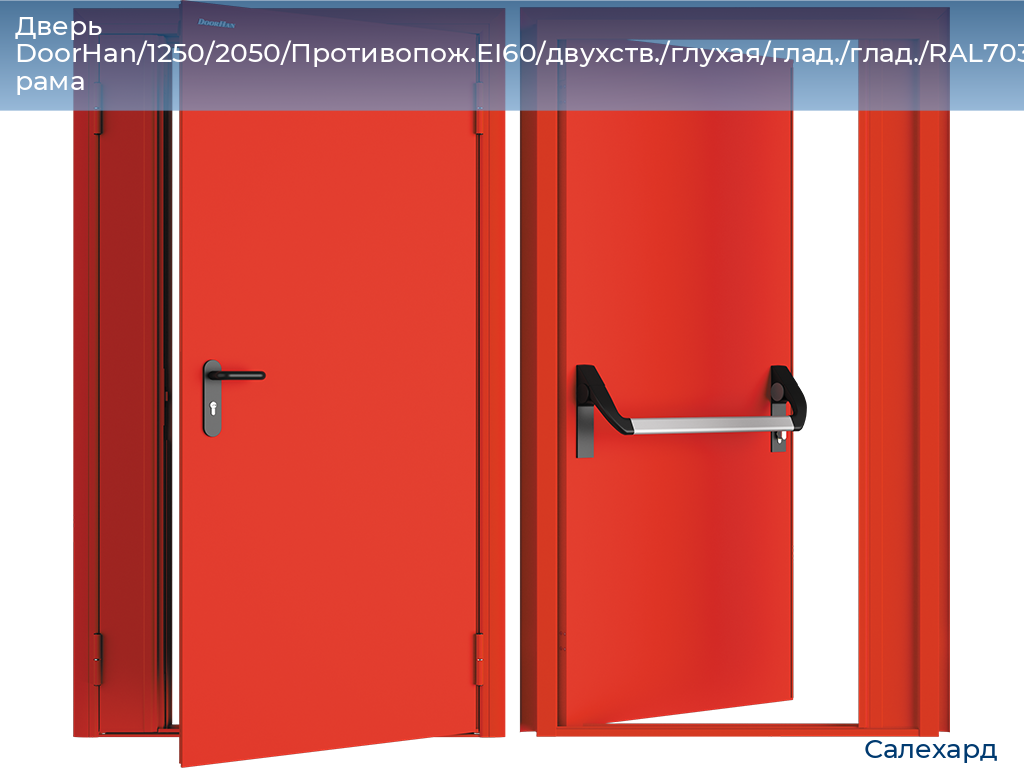 Дверь DoorHan/1250/2050/Противопож.EI60/двухств./глухая/глад./глад./RAL7035/лев./угл. рама, salekhard.doorhan.ru