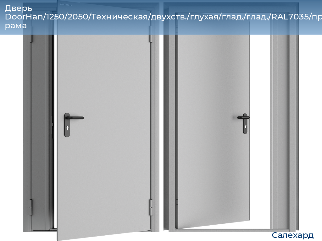 Дверь DoorHan/1250/2050/Техническая/двухств./глухая/глад./глад./RAL7035/прав./угл. рама, salekhard.doorhan.ru