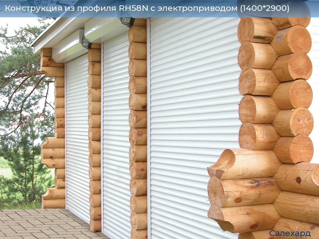 Конструкция из профиля RH58N с электроприводом (1400*2900), salekhard.doorhan.ru
