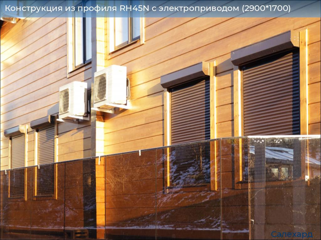 Конструкция из профиля RH45N с электроприводом (2900*1700), salekhard.doorhan.ru