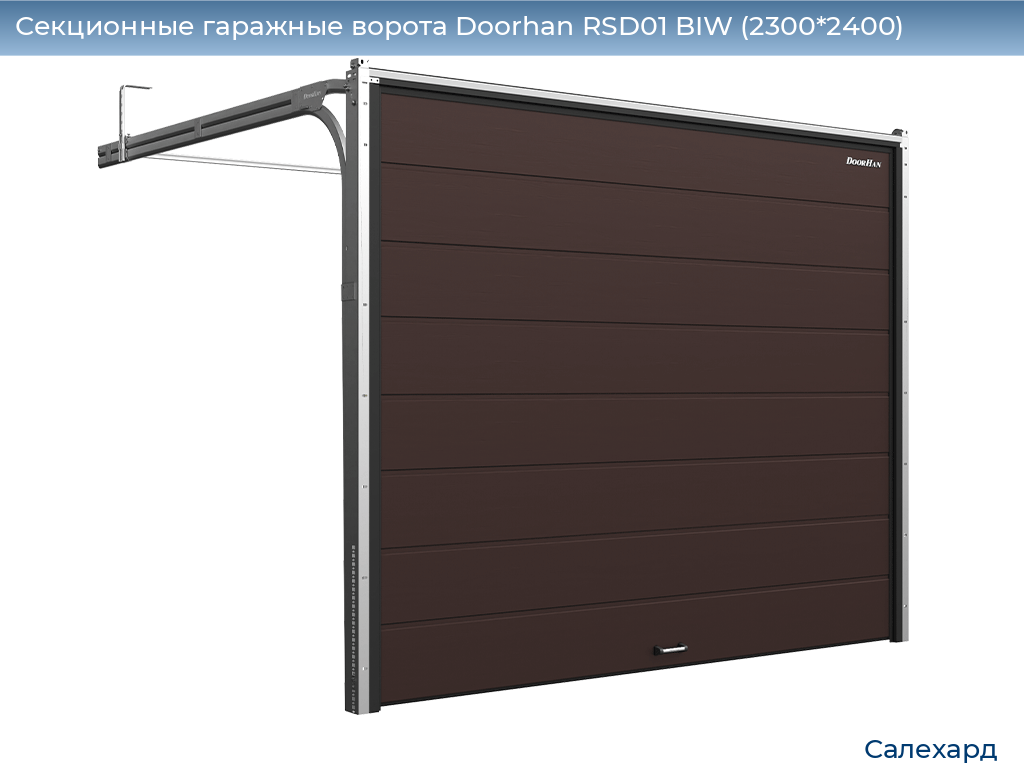Секционные гаражные ворота Doorhan RSD01 BIW (2300*2400), salekhard.doorhan.ru