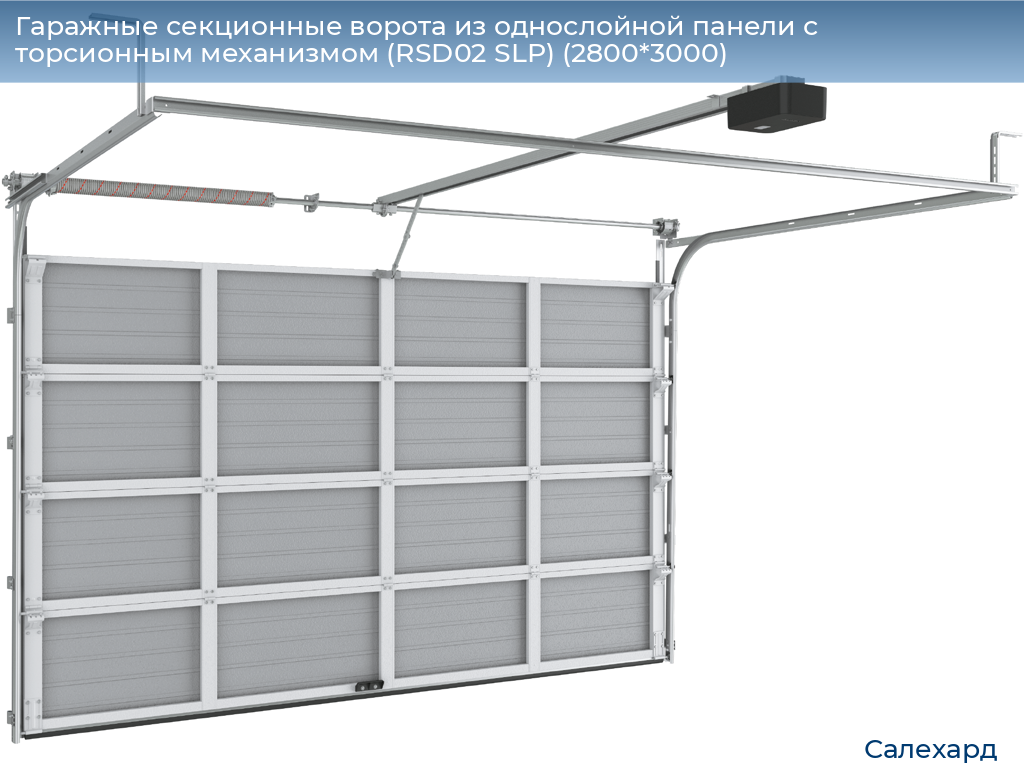 Гаражные секционные ворота из однослойной панели с торсионным механизмом (RSD02 SLP) (2800*3000), salekhard.doorhan.ru