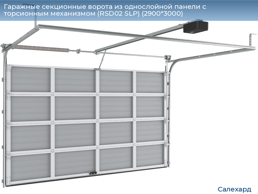 Гаражные секционные ворота из однослойной панели с торсионным механизмом (RSD02 SLP) (2900*3000), salekhard.doorhan.ru