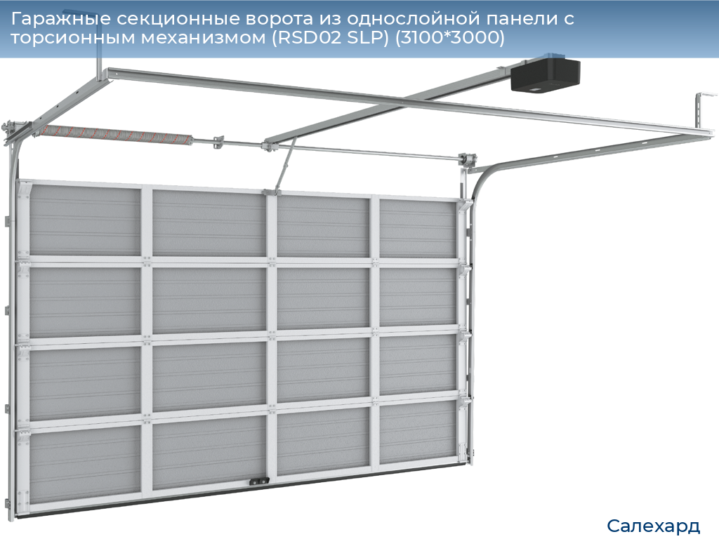 Гаражные секционные ворота из однослойной панели с торсионным механизмом (RSD02 SLP) (3100*3000), salekhard.doorhan.ru