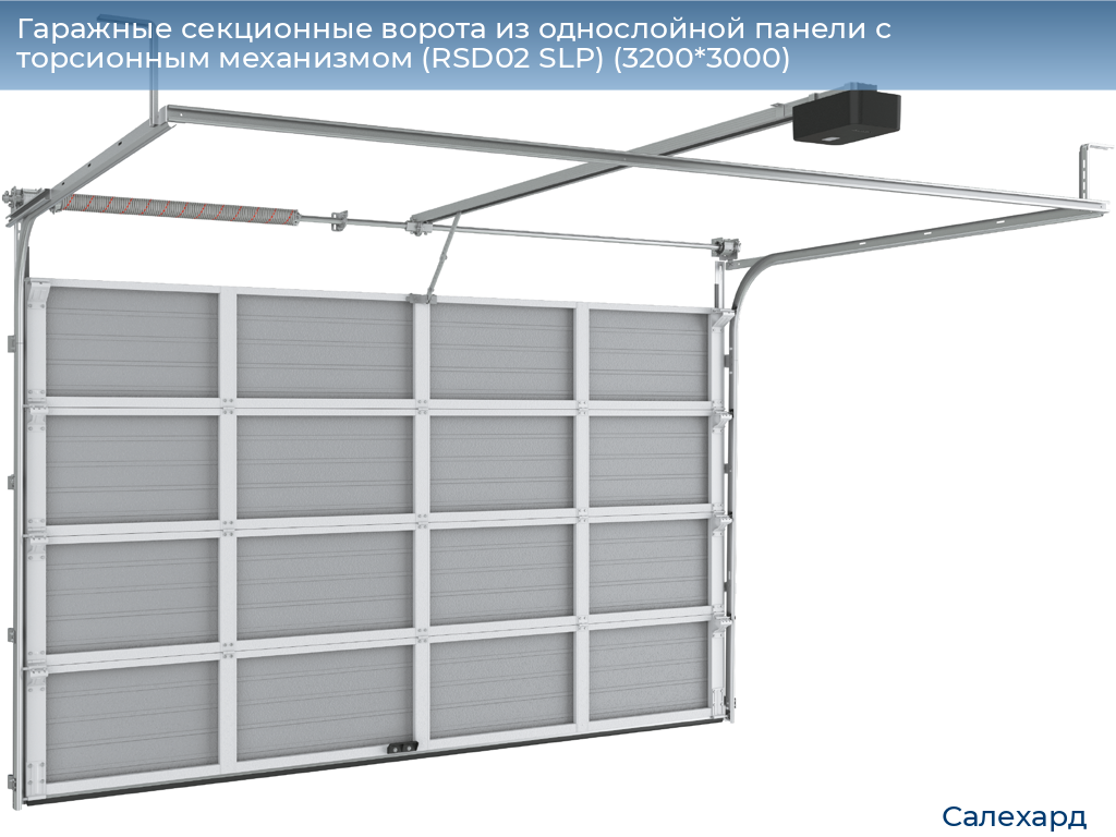 Гаражные секционные ворота из однослойной панели с торсионным механизмом (RSD02 SLP) (3200*3000), salekhard.doorhan.ru