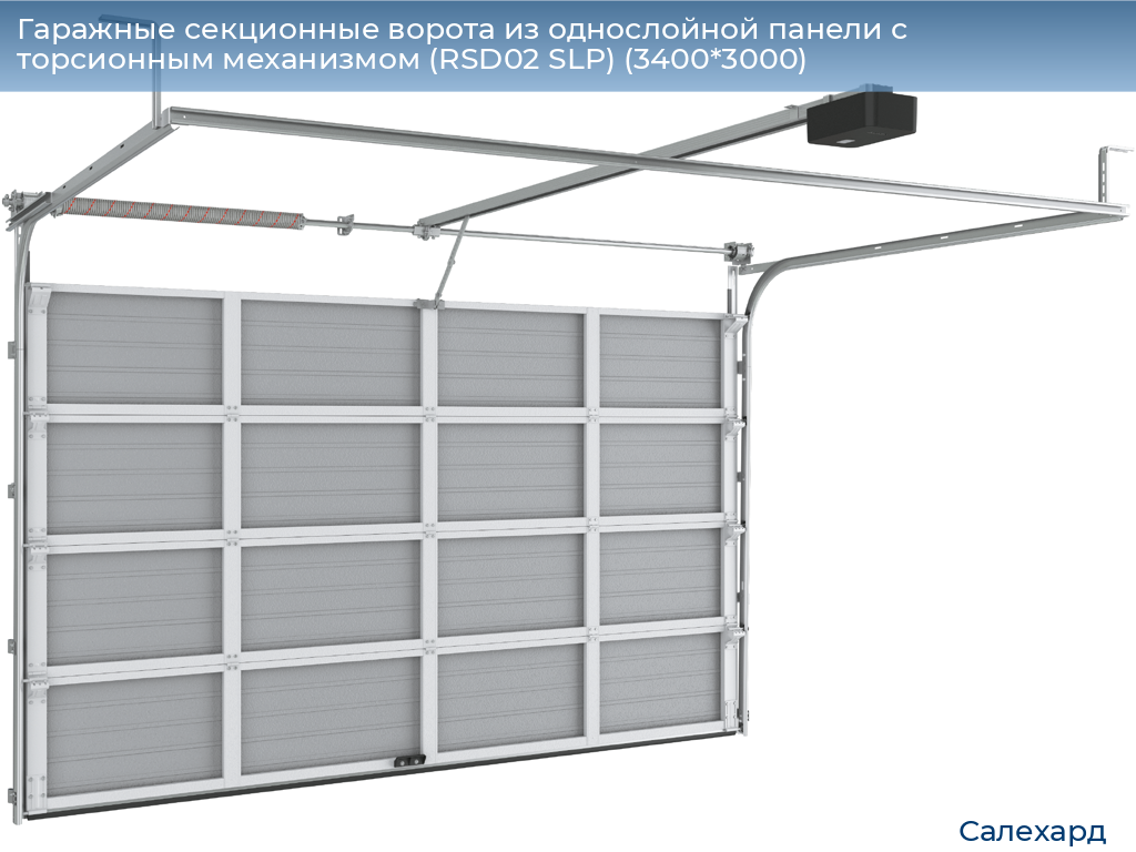Гаражные секционные ворота из однослойной панели с торсионным механизмом (RSD02 SLP) (3400*3000), salekhard.doorhan.ru