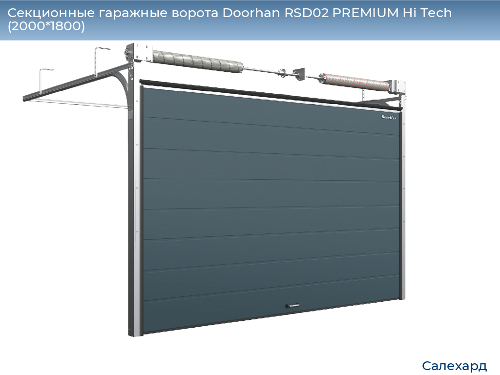 Секционные гаражные ворота Doorhan RSD02 PREMIUM Hi Tech (2000*1800), salekhard.doorhan.ru