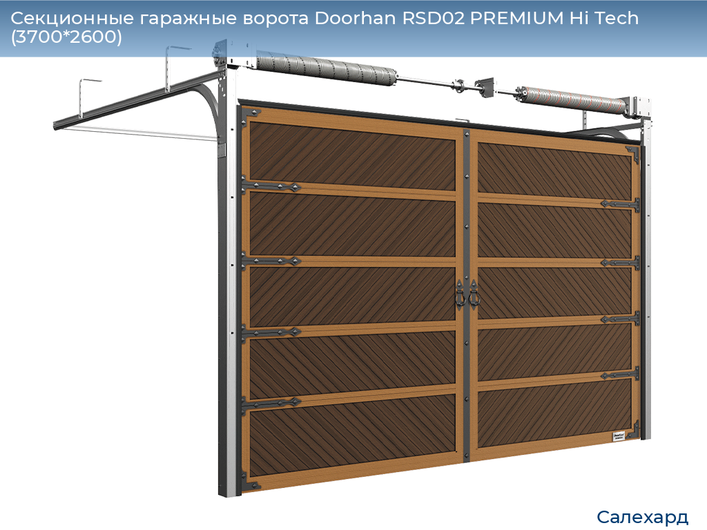 Секционные гаражные ворота Doorhan RSD02 PREMIUM Hi Tech (3700*2600), salekhard.doorhan.ru