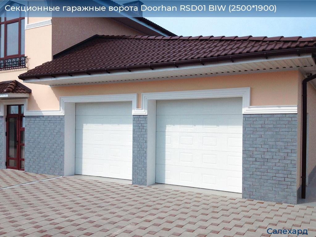 Секционные гаражные ворота Doorhan RSD01 BIW (2500*1900), salekhard.doorhan.ru