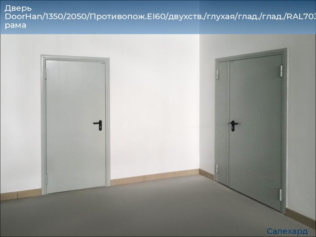 Дверь DoorHan/1350/2050/Противопож.EI60/двухств./глухая/глад./глад./RAL7035/лев./угл. рама, salekhard.doorhan.ru