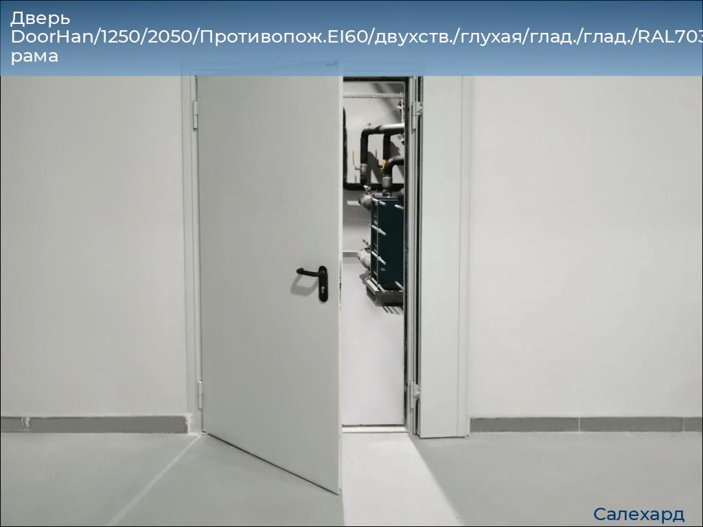 Дверь DoorHan/1250/2050/Противопож.EI60/двухств./глухая/глад./глад./RAL7035/лев./угл. рама, salekhard.doorhan.ru