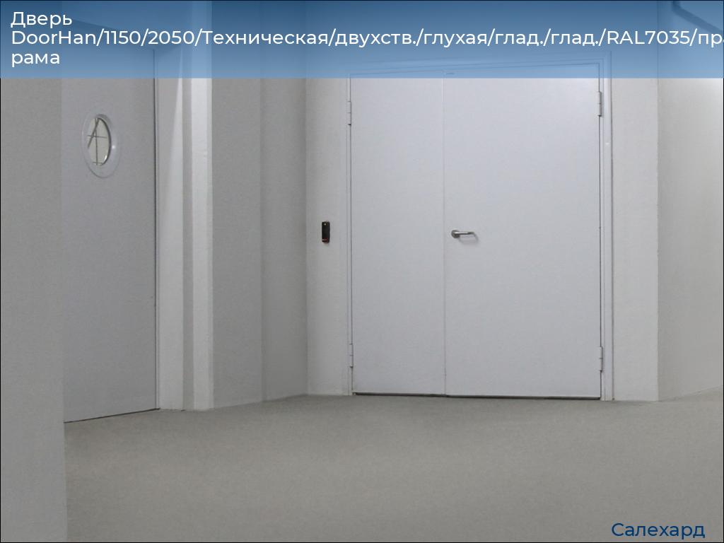 Дверь DoorHan/1150/2050/Техническая/двухств./глухая/глад./глад./RAL7035/прав./угл. рама, salekhard.doorhan.ru
