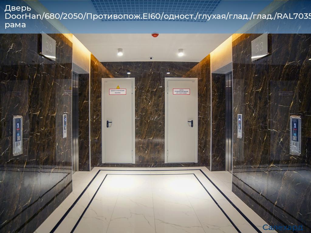 Дверь DoorHan/680/2050/Противопож.EI60/одност./глухая/глад./глад./RAL7035/лев./угл. рама, salekhard.doorhan.ru