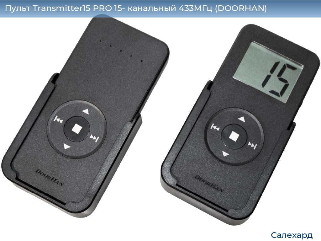Пульт Transmitter15 PRO 15- канальный 433МГц (DOORHAN), salekhard.doorhan.ru
