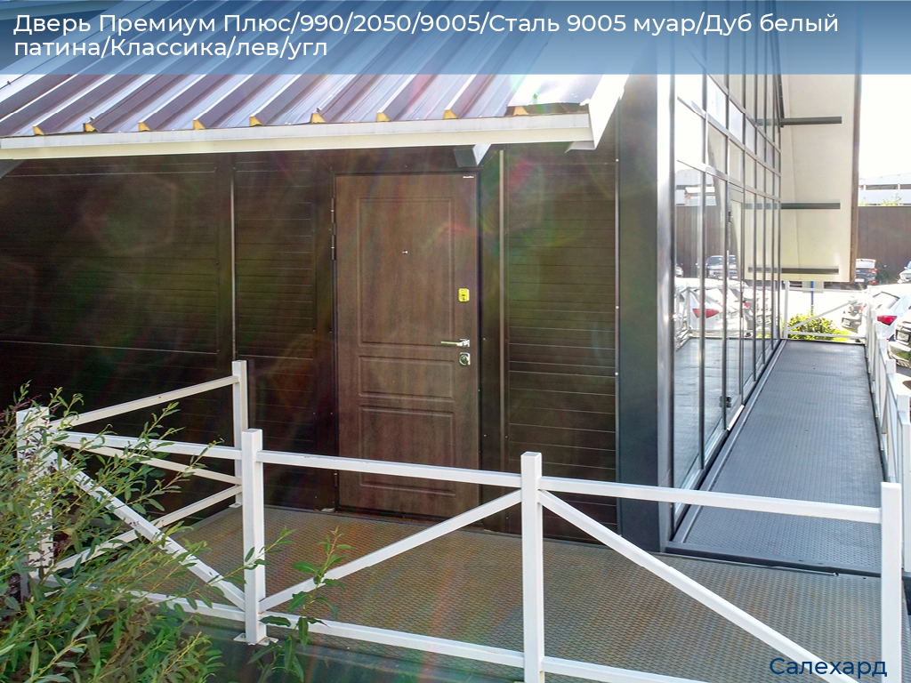 Дверь Премиум Плюс/990/2050/9005/Сталь 9005 муар/Дуб белый патина/Классика/лев/угл, salekhard.doorhan.ru