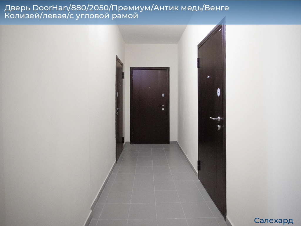 Дверь DoorHan/880/2050/Премиум/Антик медь/Венге Колизей/левая/с угловой рамой, salekhard.doorhan.ru