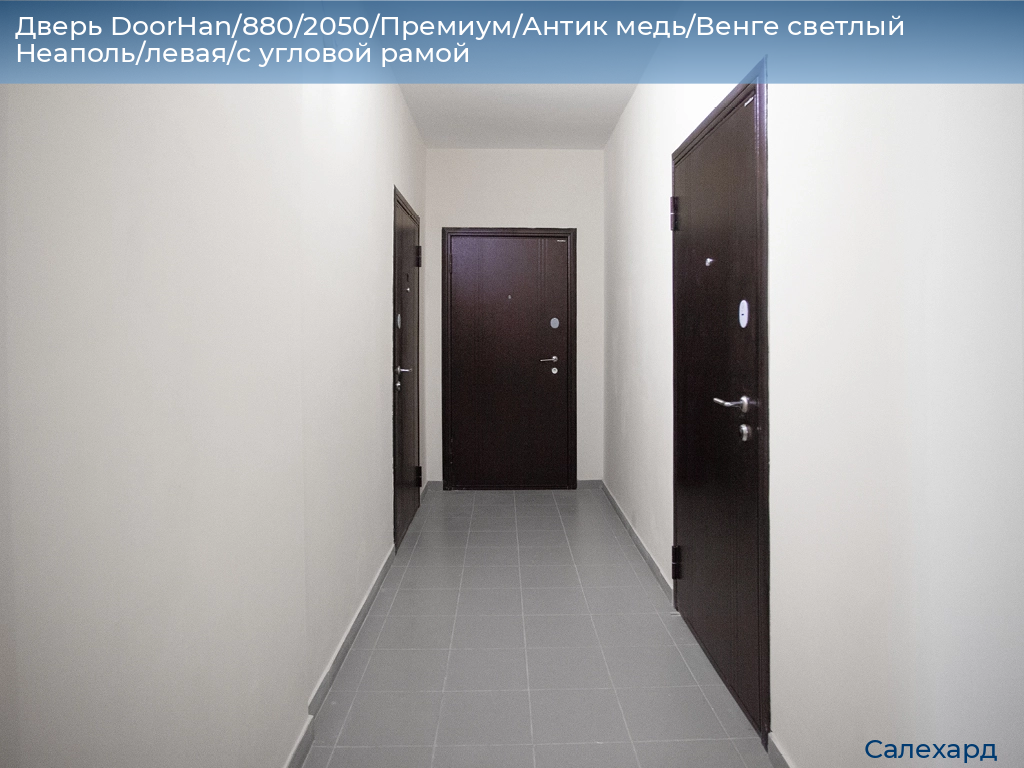 Дверь DoorHan/880/2050/Премиум/Антик медь/Венге светлый Неаполь/левая/с угловой рамой, salekhard.doorhan.ru