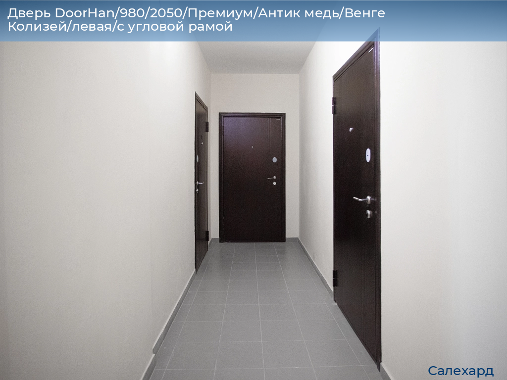 Дверь DoorHan/980/2050/Премиум/Антик медь/Венге Колизей/левая/с угловой рамой, salekhard.doorhan.ru