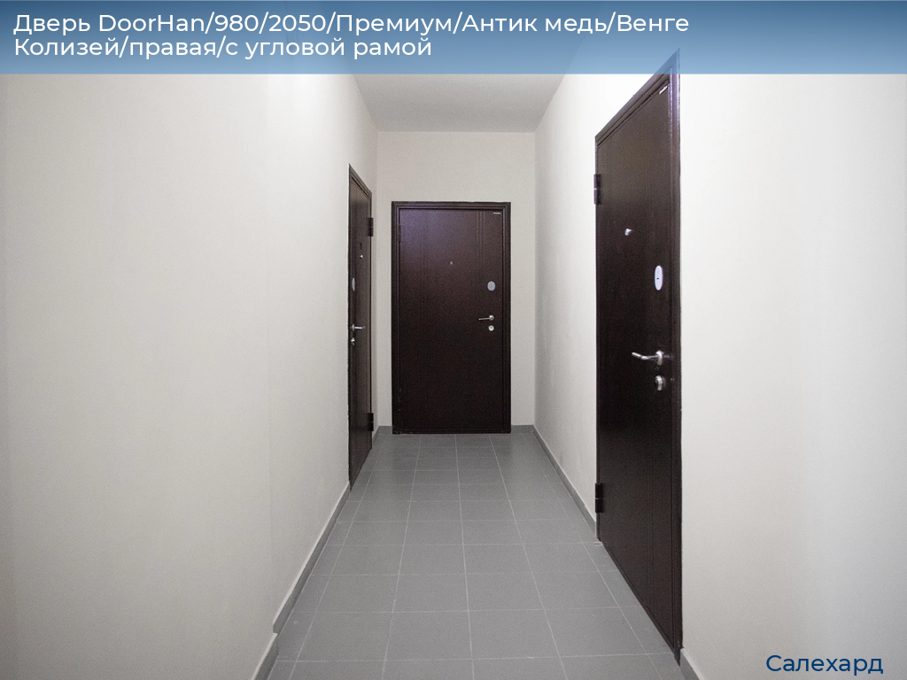 Дверь DoorHan/980/2050/Премиум/Антик медь/Венге Колизей/правая/с угловой рамой, salekhard.doorhan.ru