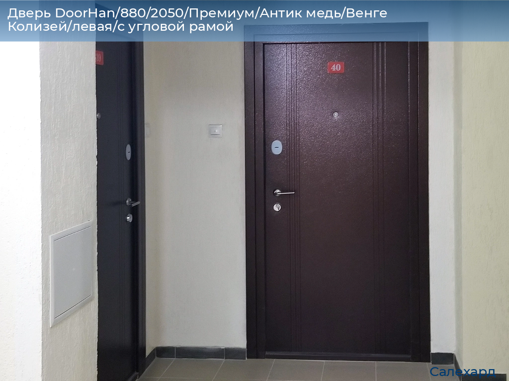 Дверь DoorHan/880/2050/Премиум/Антик медь/Венге Колизей/левая/с угловой рамой, salekhard.doorhan.ru
