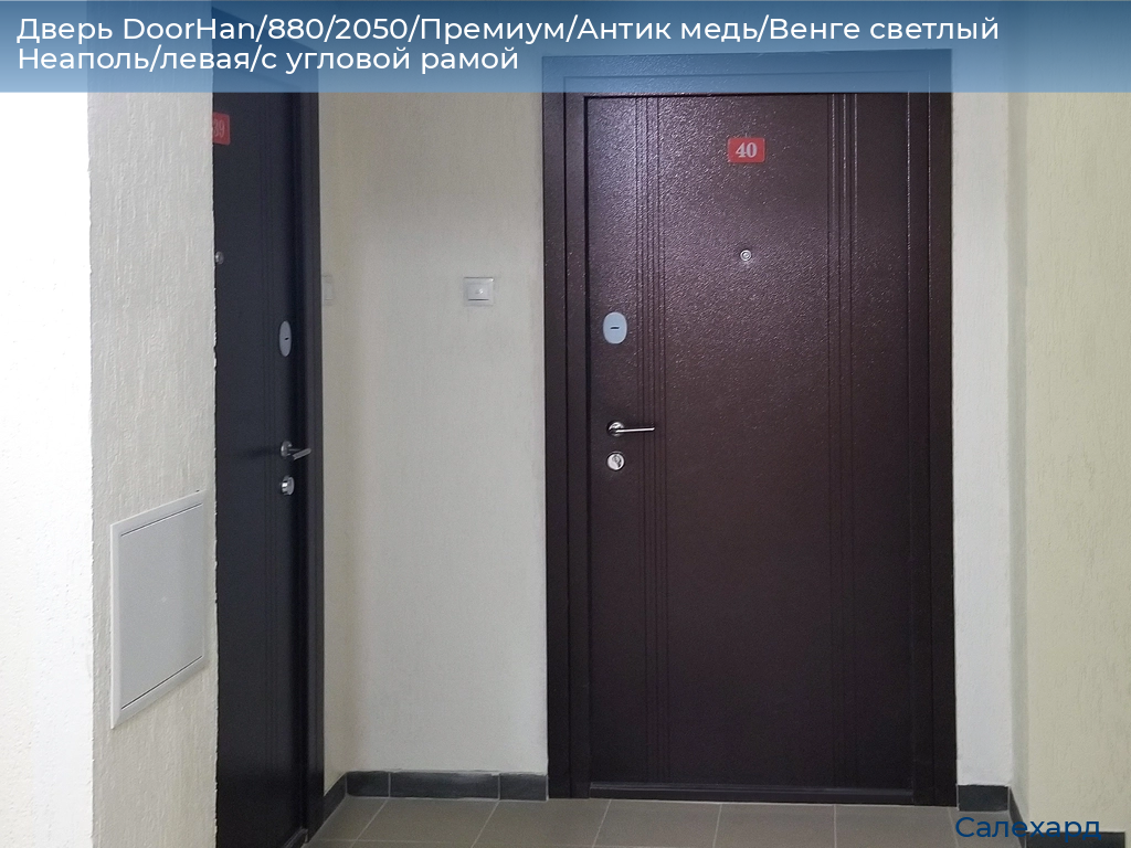 Дверь DoorHan/880/2050/Премиум/Антик медь/Венге светлый Неаполь/левая/с угловой рамой, salekhard.doorhan.ru