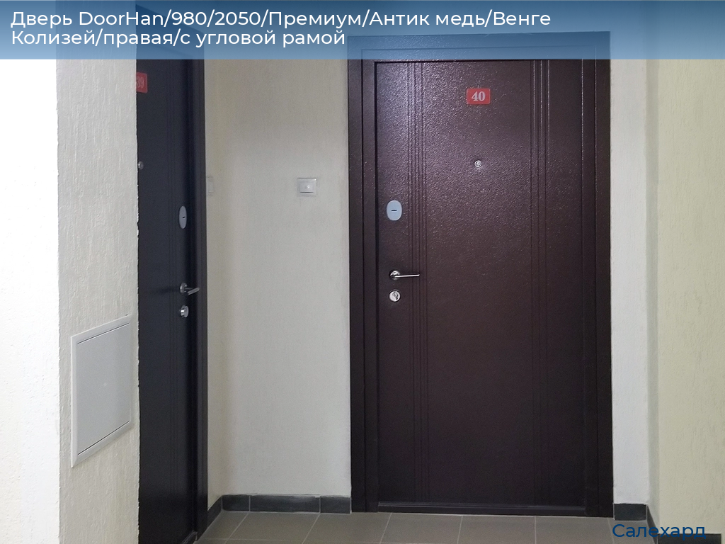 Дверь DoorHan/980/2050/Премиум/Антик медь/Венге Колизей/правая/с угловой рамой, salekhard.doorhan.ru