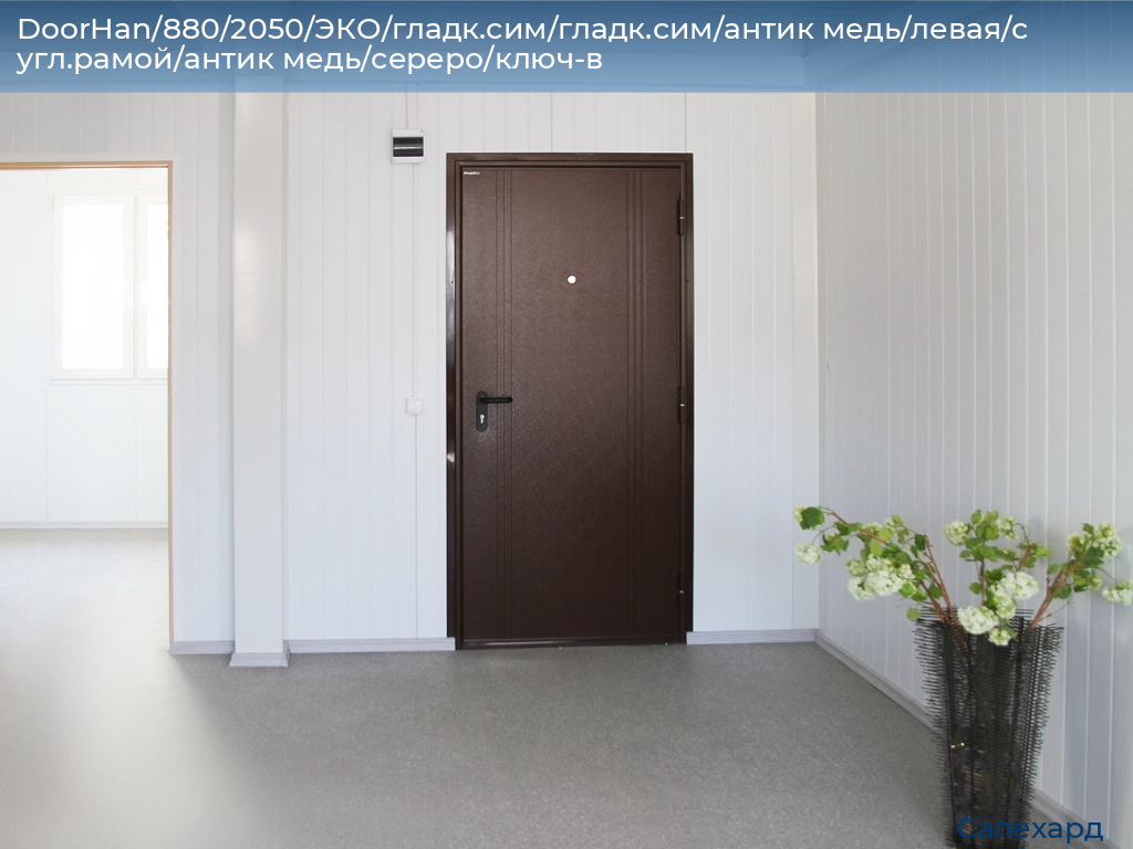 DoorHan/880/2050/ЭКО/гладк.сим/гладк.сим/антик медь/левая/с угл.рамой/антик медь/сереро/ключ-в, salekhard.doorhan.ru